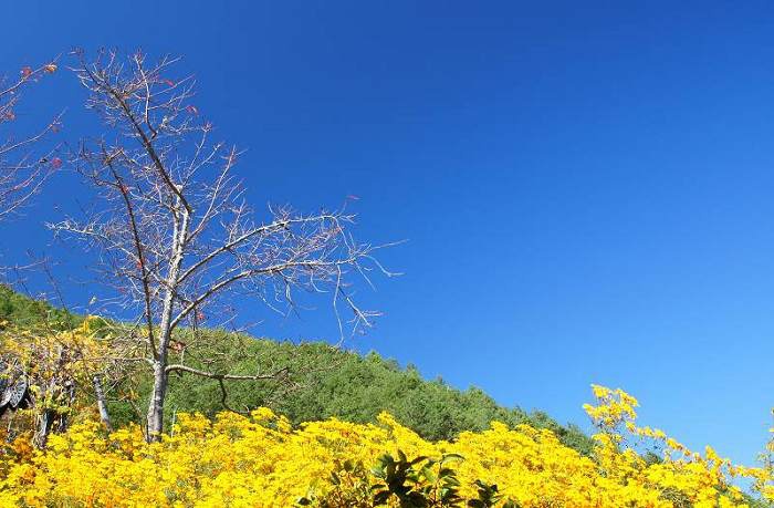 DSC00125 DSC00125