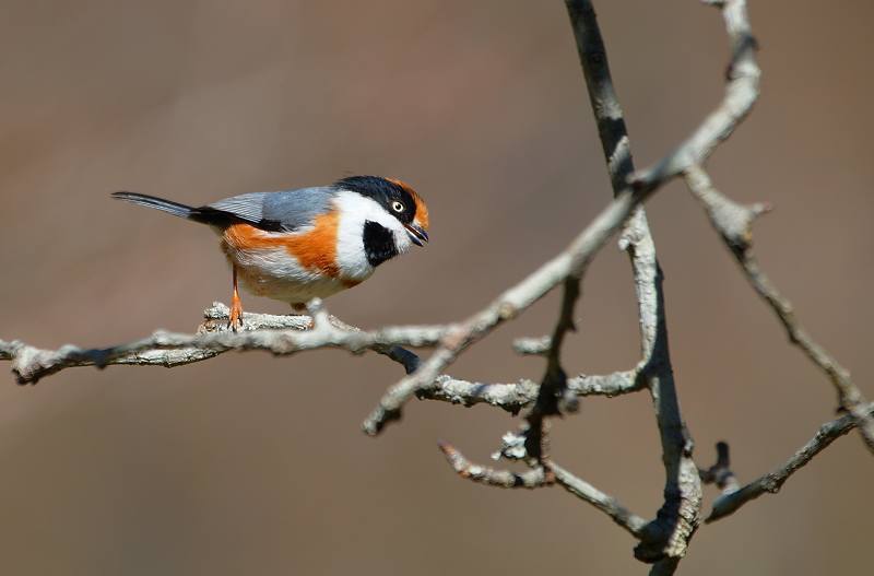 DSC00204 DSC00204