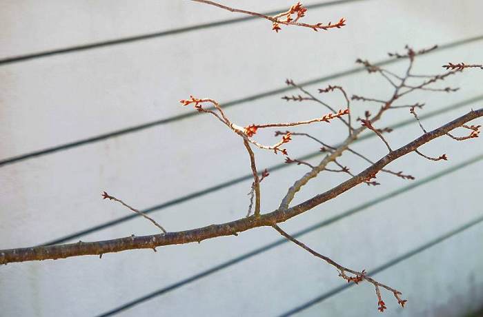 DSC00129 DSC00129