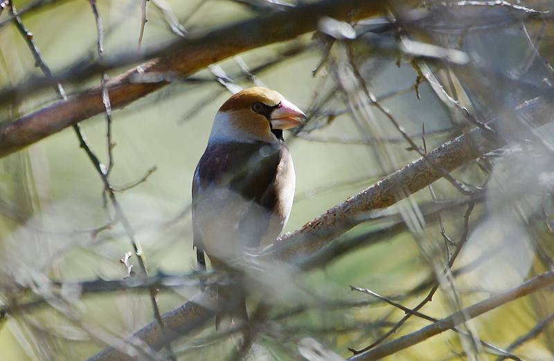 DSC00200 DSC00200