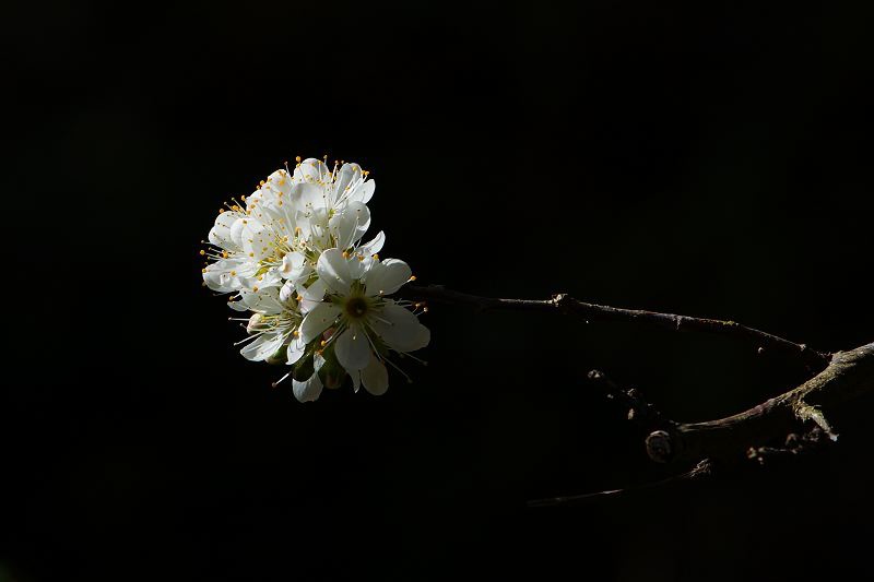 DSC071851 DSC071851