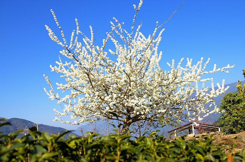 DSC000862 DSC000862
