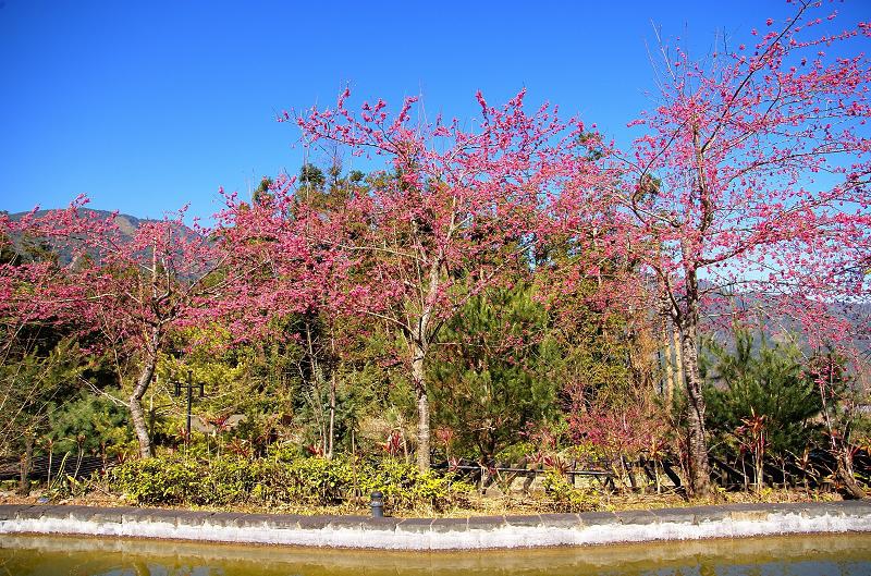 DSC099391 DSC099391