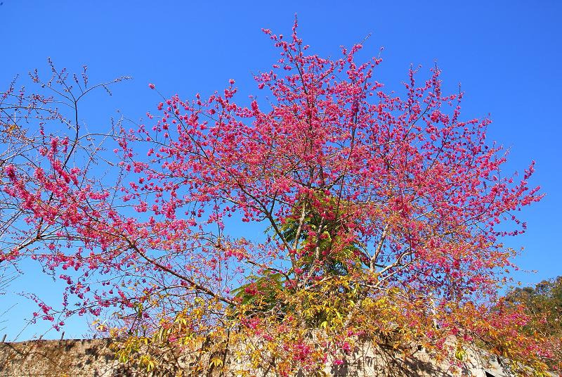DSC000461 DSC000461