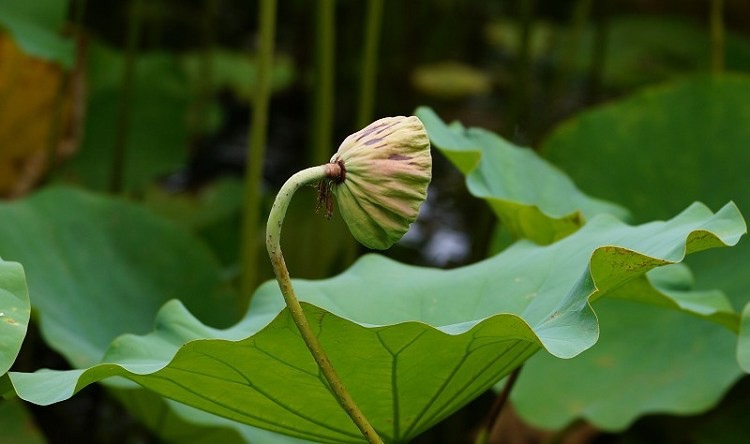 DSC003 DSC003