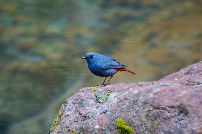 DSC04 DSC04