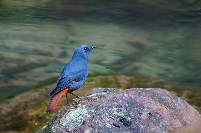 DSC03 DSC03