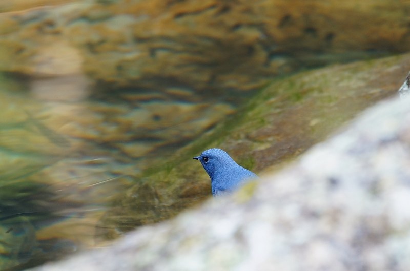 DSC07 DSC07