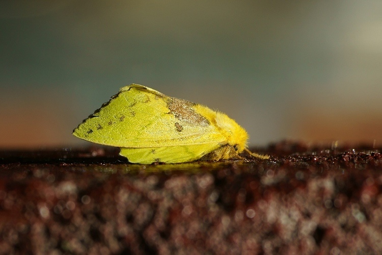 DSC04 DSC04