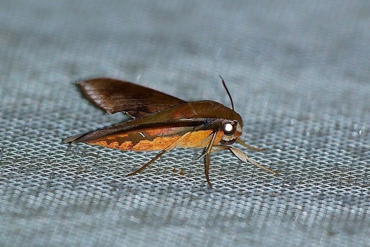 DSC013 DSC013