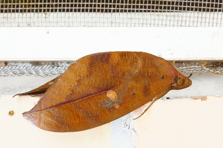 DSC02 DSC02