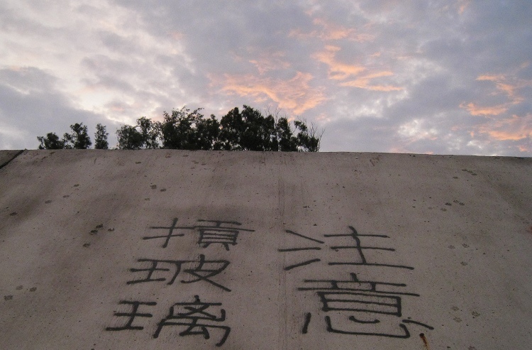 dsc04 dsc04