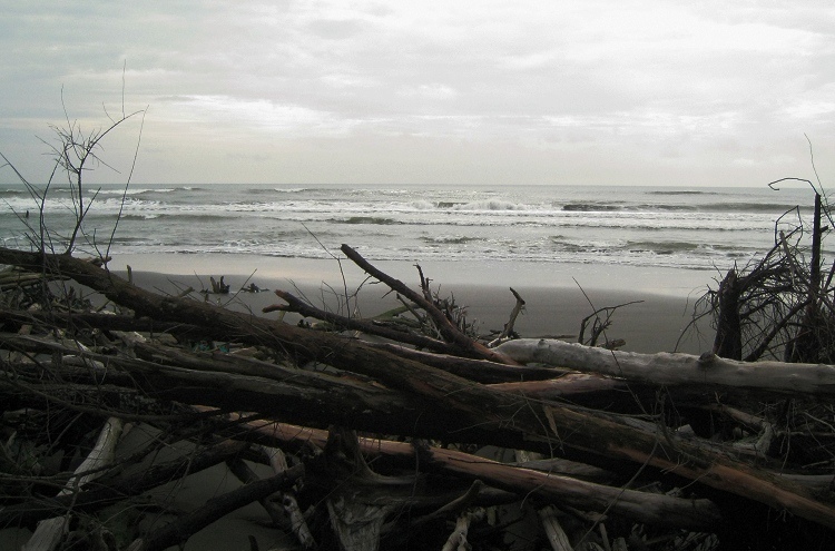 dsc05 dsc05