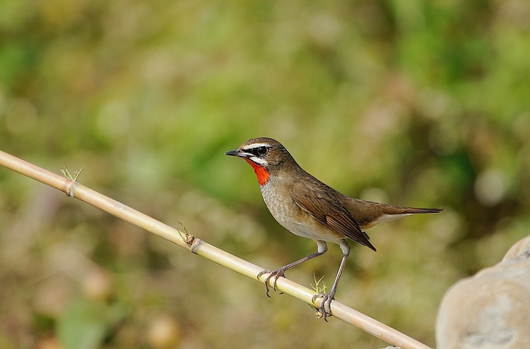DSC05 DSC05
