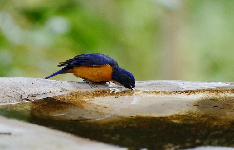DSC008 DSC008