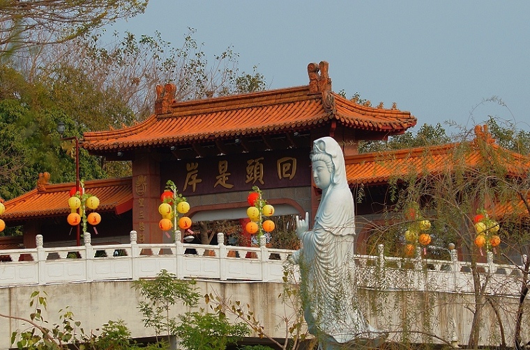 DSC005 DSC005