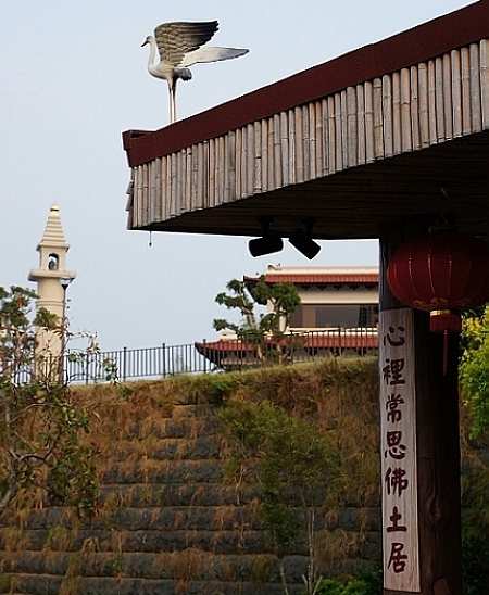 DSC007 DSC007