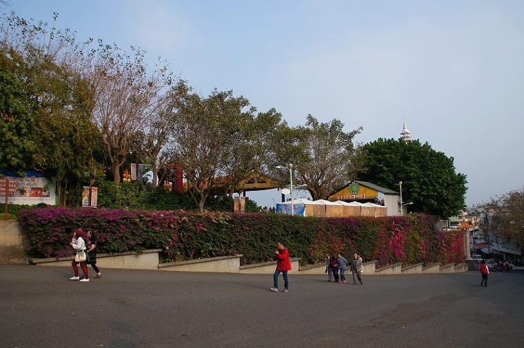 DSC003 DSC003