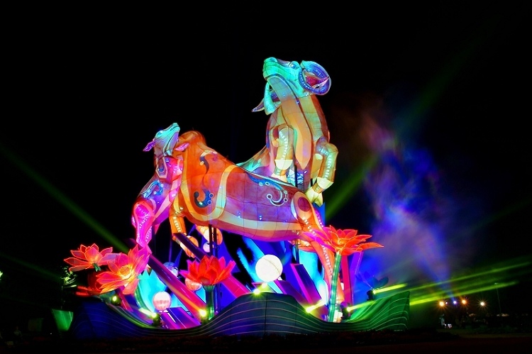 DSC030 DSC030