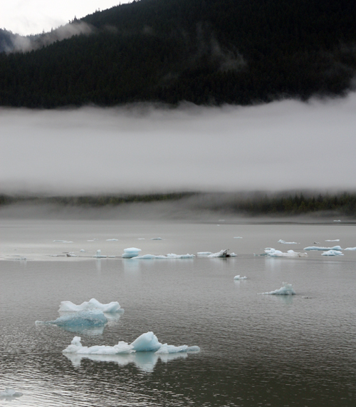 Mendenhall Glacier-2.jpg