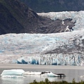 Mendenhall Glacier-3.jpg