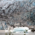 Mendenhall Glacier-4.jpg