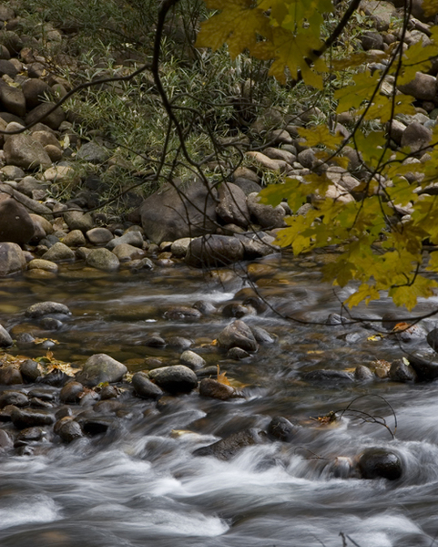 fall-yosemite-4.jpg