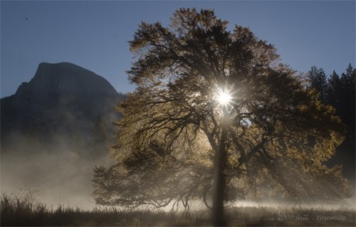 fall_yosemite_01.jpg