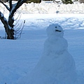 Freddy Snowman-1.jpg