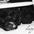 Sleepy Head-1.jpg