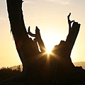 carmel sunset-1.jpg