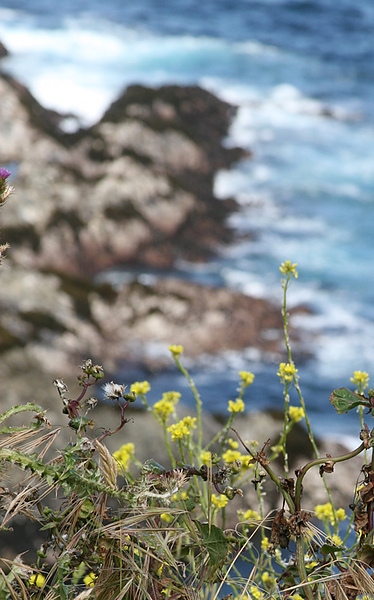 Monterey-Big Sur-5.jpg