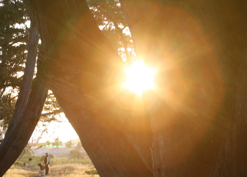 carmel by the sea-11.jpg