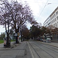 DSCF2853