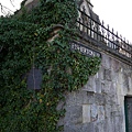 P1000147