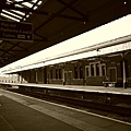 P1000153