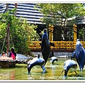 IMG_7554.jpg