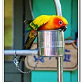IMG_8187.jpg