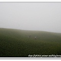 IMG_7858.jpg