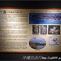 DSC01377_副本.jpg