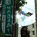 DSC02453_副本.jpg