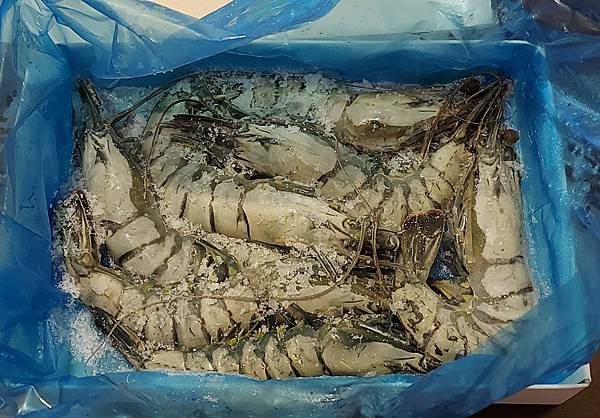 20210731_110948.jpg 20210731_110948.jpg