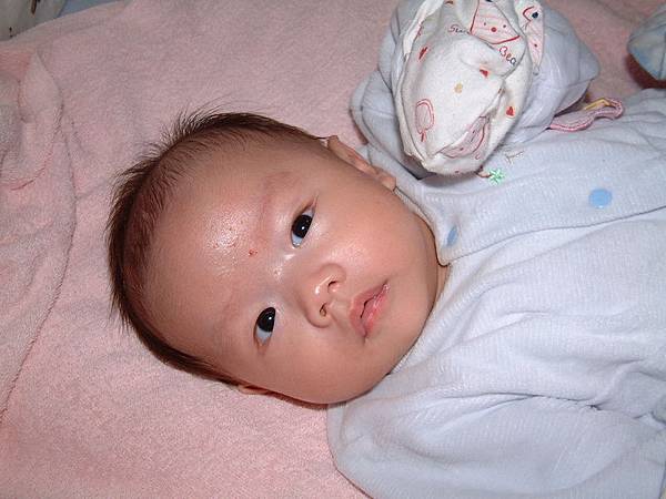兒子 兒子