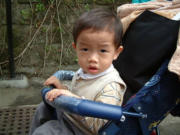 兒子 兒子