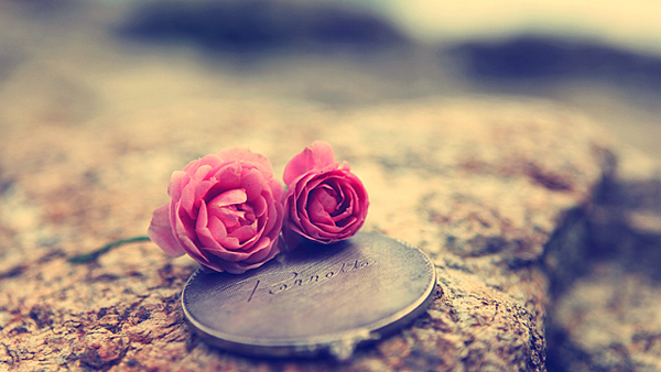 Love-Rose-Wallpaper