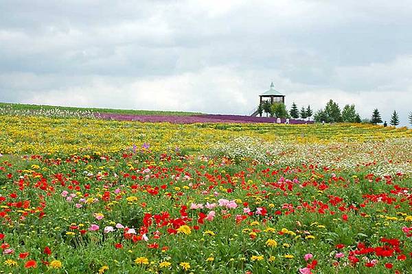 FLOWER LAND