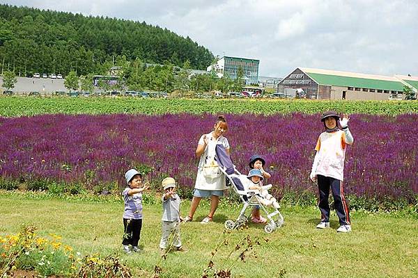 FLOWER LAND