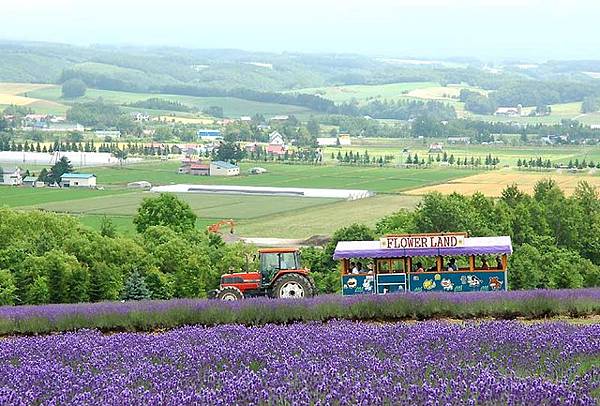 FLOWER LAND