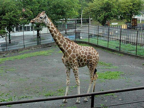 旭川動物園