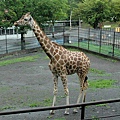 旭川動物園